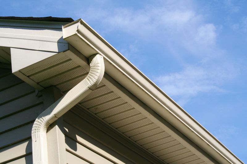 Eavestrough Clearing in Richmond, VA