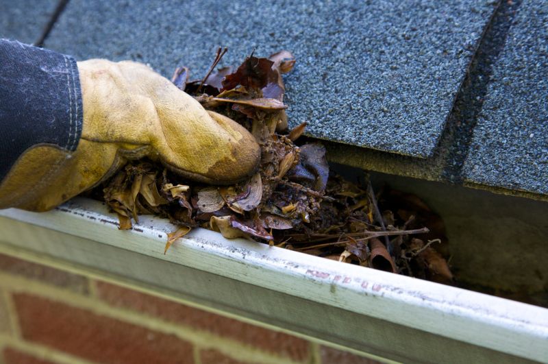 Gutter Blockage Removal in Annapolis, MD