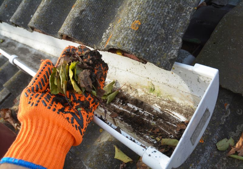 Gutter Cleaning in Morris County, NJ
