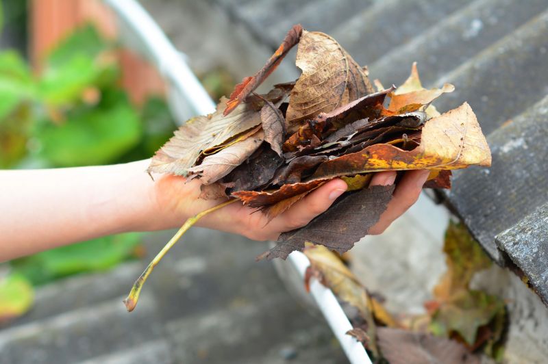 Gutter Leaf Clearing in Fredericksburg, VA
