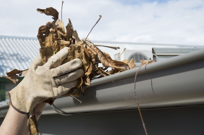 Gutter Leaves Removal in Arvada, CO