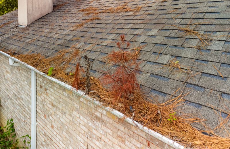 Gutter Pine Needle Removal in Monmouth County, NJ
