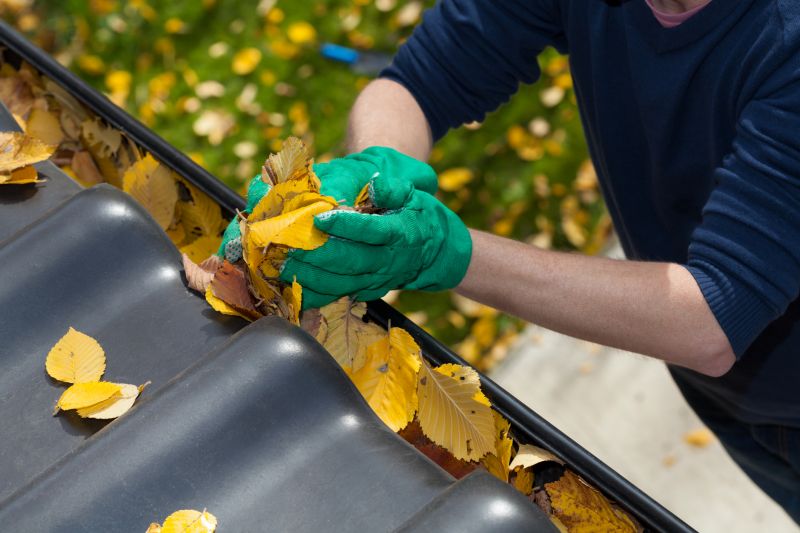 Business Gutter Cleaning in Littleton, CO