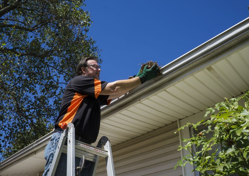Clogged Gutter Clearing in Baltimore, MD