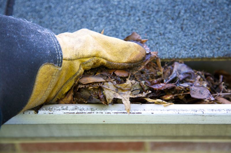 Clogged Gutter Clearing in Frederick, MD
