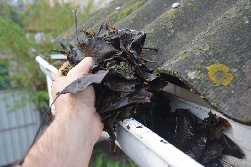 Clogged Gutter Clearing in Bergen County, NJ