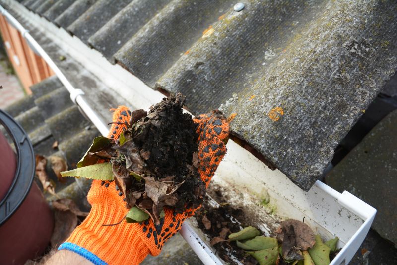Commercial Downspout Cleaning in Littleton, CO