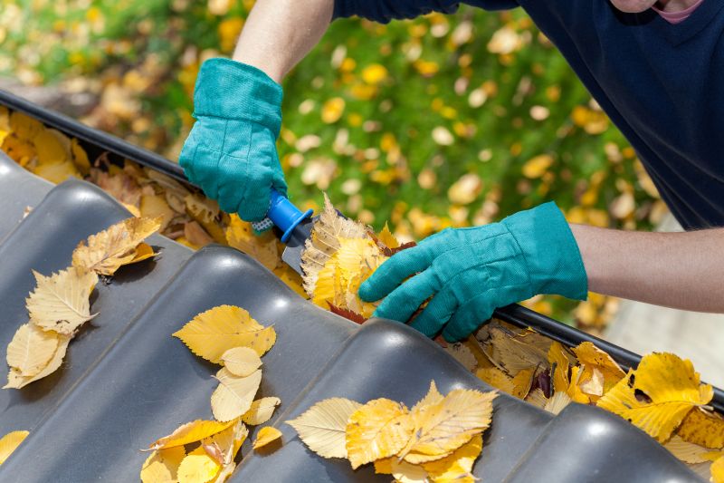 Commercial Gutter Cleaning in Sacramento, CA