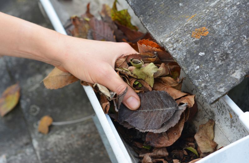 Commercial Gutter Cleaning in Denver County, CO
