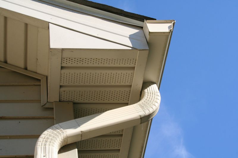Downspout Blockage Removal in Long Island, NY