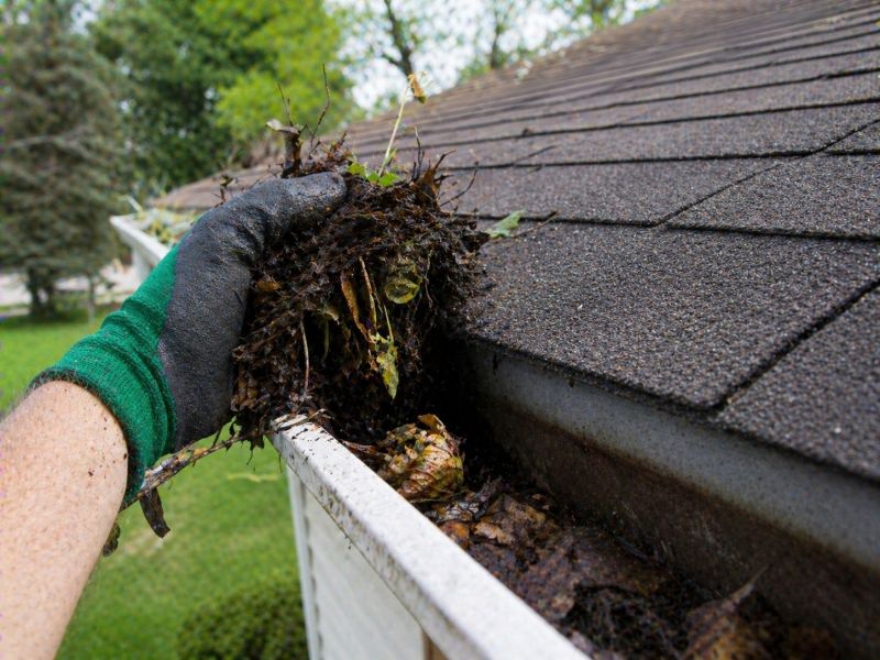 Gutter Blockage Removal in Monmouth County, NJ