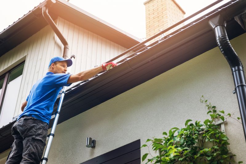 Gutter Cleaning in Longmont, CO