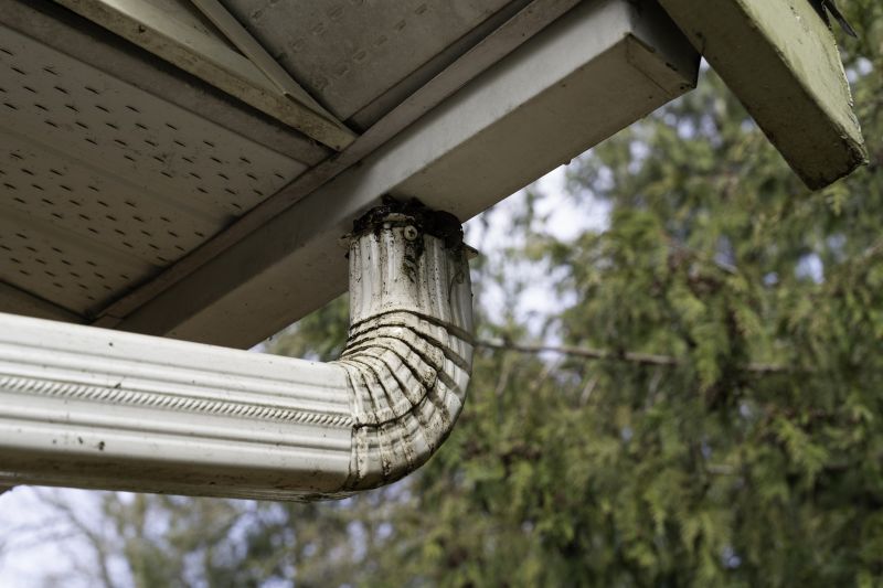 Gutter Downspout Unclogging in Long Island, NY