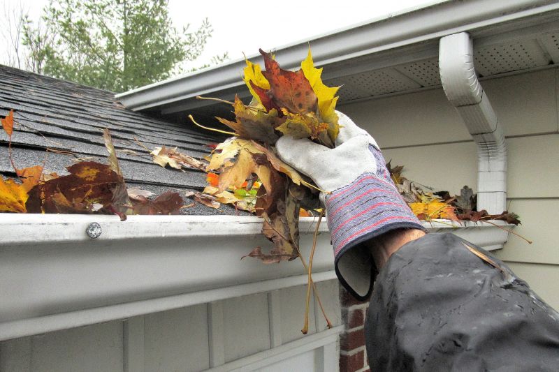 Gutter Leaf Clearing in Rochester, NY