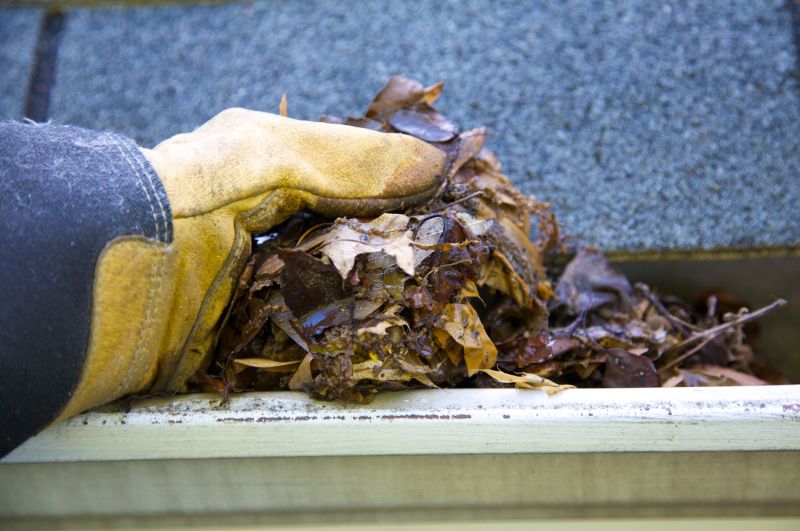 Gutter Leaf Clearing in Bergen County, NJ
