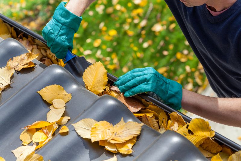 Gutter Leaf Clearing in Morris County, NJ