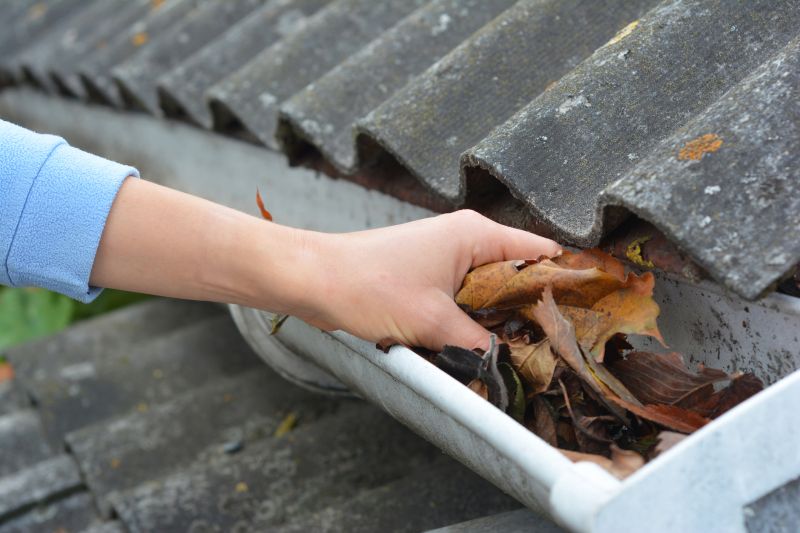Gutter Leaves Removal in Rochester, NY