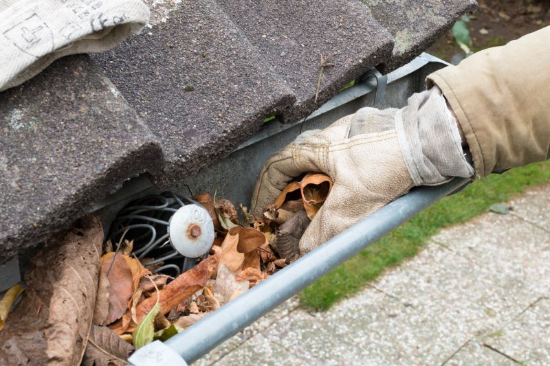 Gutter Leaves Removal in Annapolis, MD