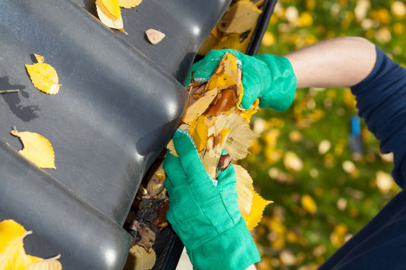 Gutter Leaves Removal in Morris County, NJ