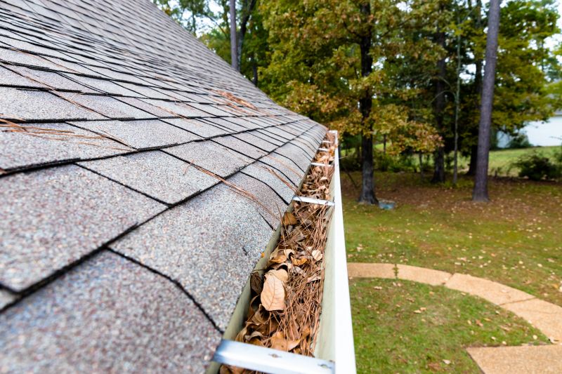 Gutter Pine Needle Removal in Bergen County, NJ