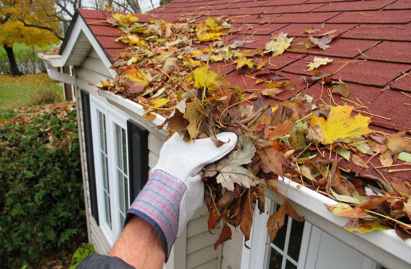 Gutter Pine Needle Removal in Bergen County, NJ