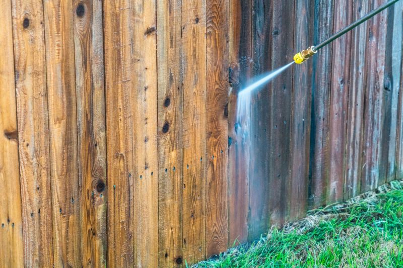 Fence and Gate Cleaning