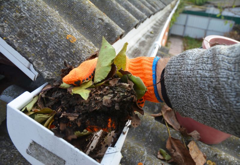 Roof Dirt Removal in Vancouver, WA