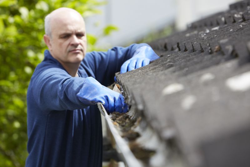 Roof Gutter Cleaning in Fredericksburg, VA