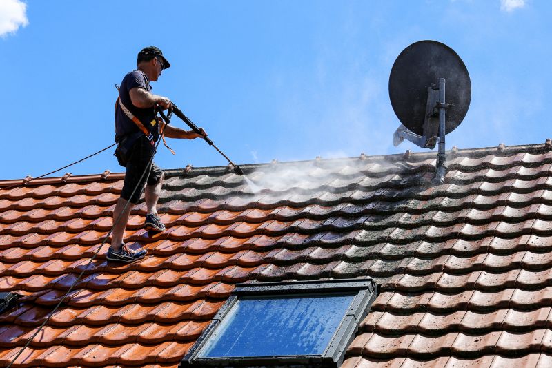 Roof Mildew Cleaning in Vancouver, WA