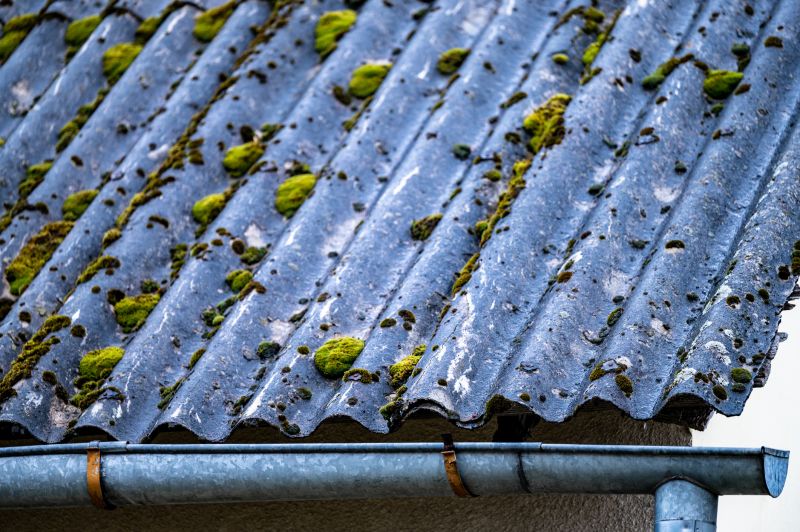 Roof Mildew Removal in Vancouver, WA