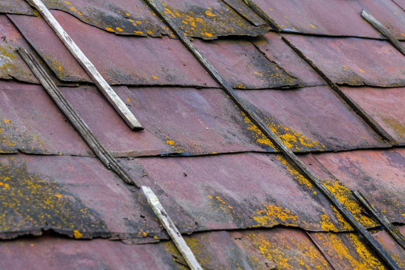 Roof Mold Cleaning in Vancouver, WA