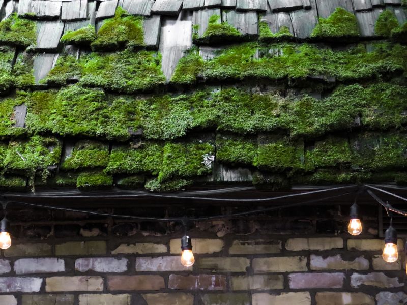 Roof Moss Removal in Vancouver, WA