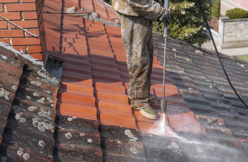 Roof Stain Removal in Vancouver, WA