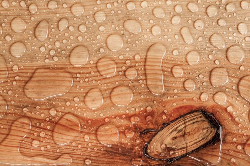Wood Waterproofing in Kansas City, KS